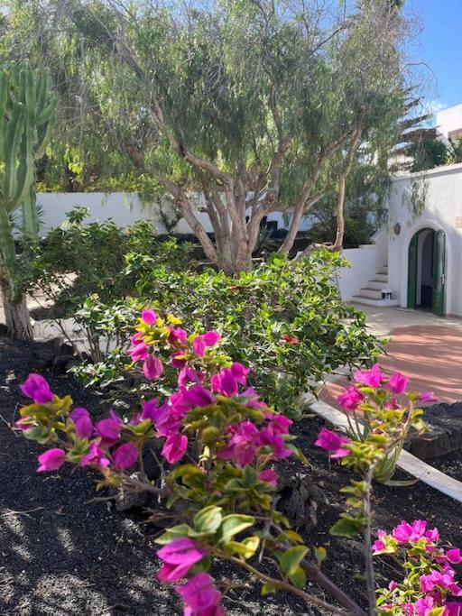 Casa Chili Apartment Costa Teguise Exterior foto